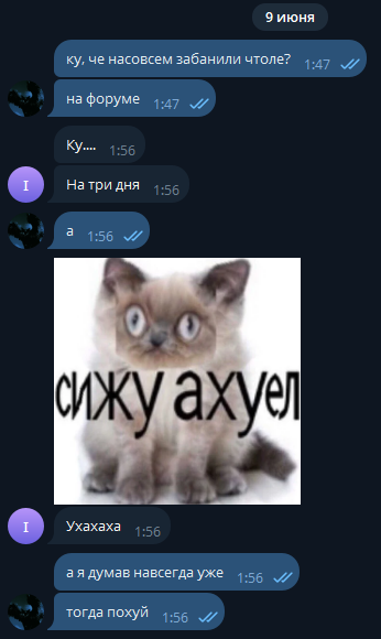 1780952298216.png