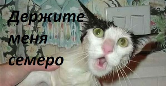 1780962493908.png