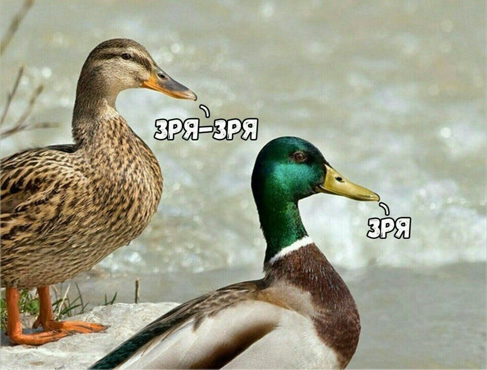 1781092429456.png