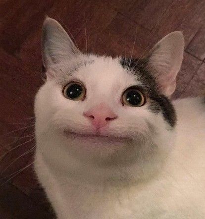 1781107591513.jpeg