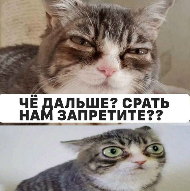 1781249606246.png