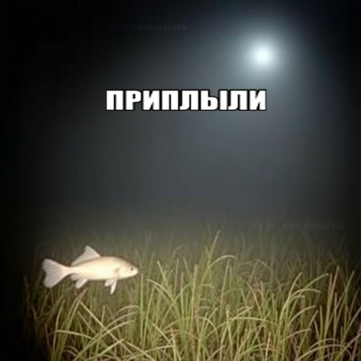 1781787010174.png