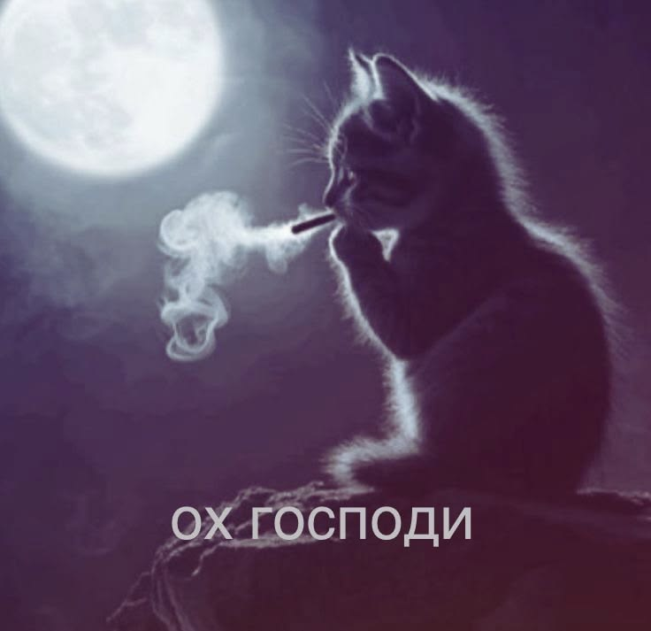 1781787068197.png
