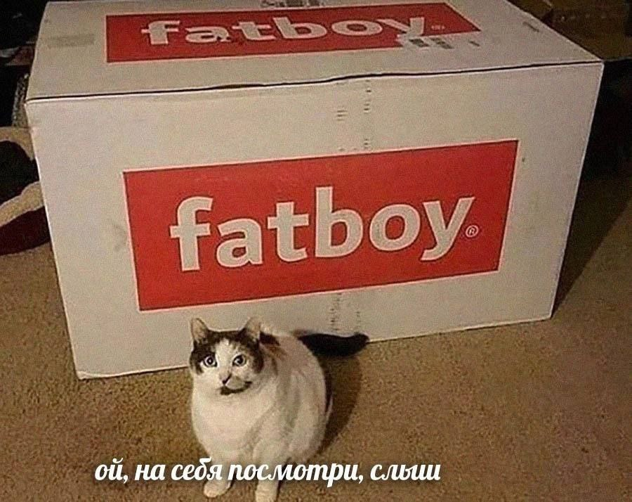 1782125461483.png