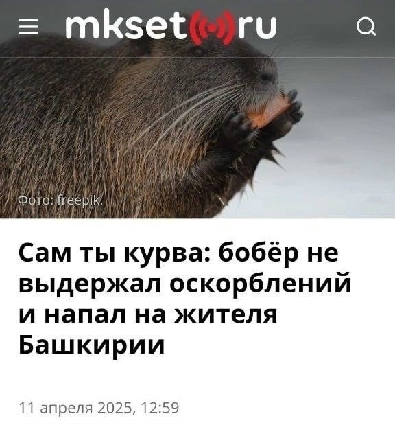 1782133344893.png