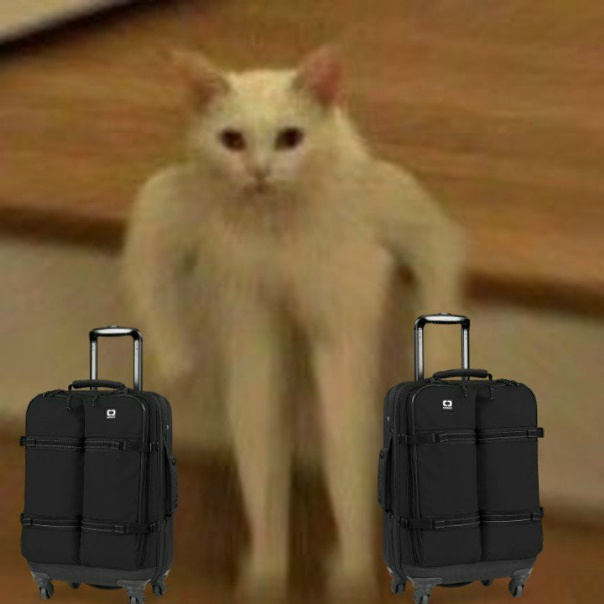 1782207475873.png