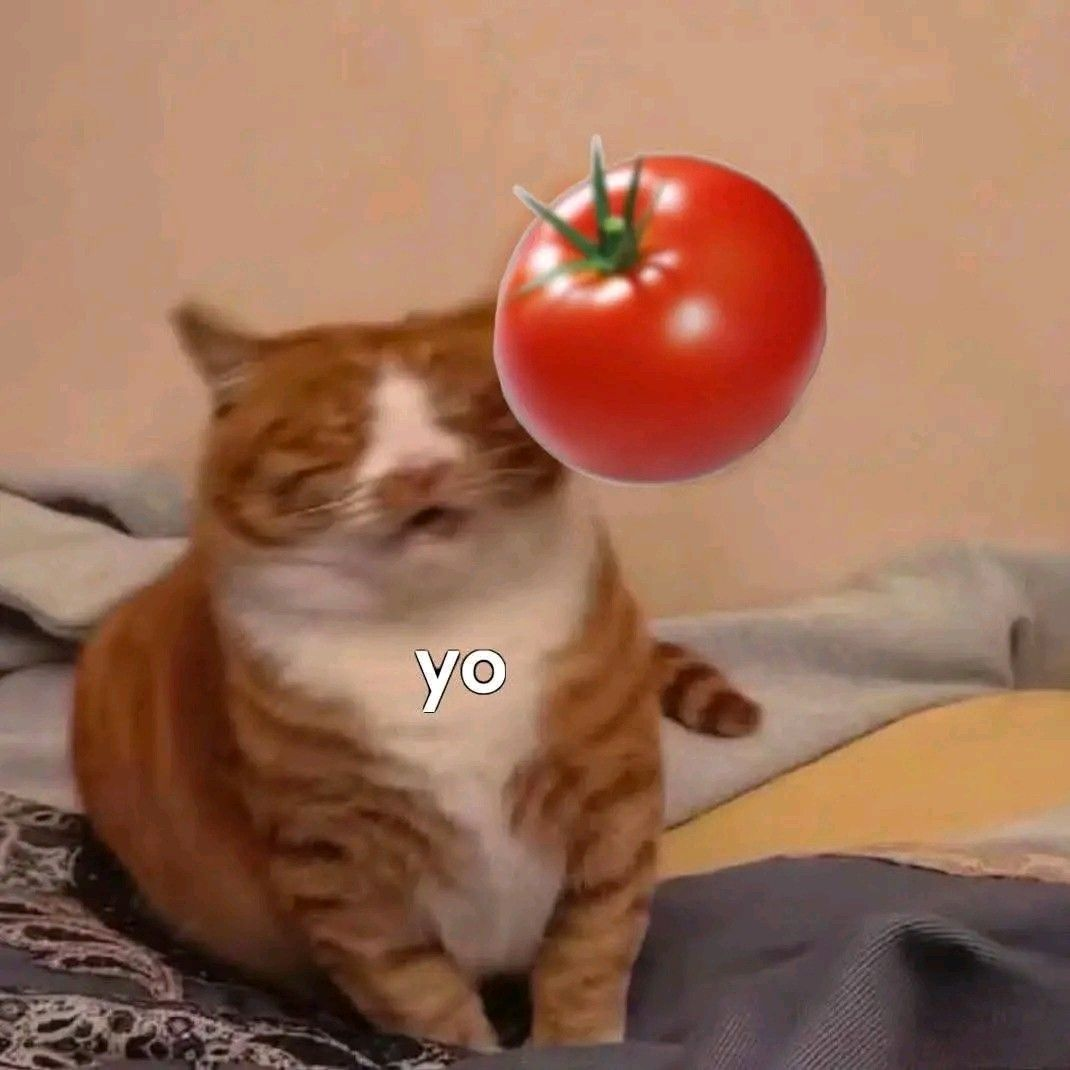 1782577411349.png