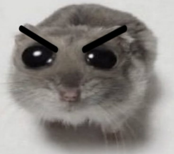 1782578318412.png