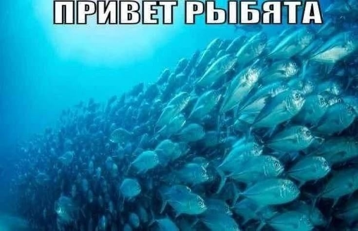 1782679883811.png