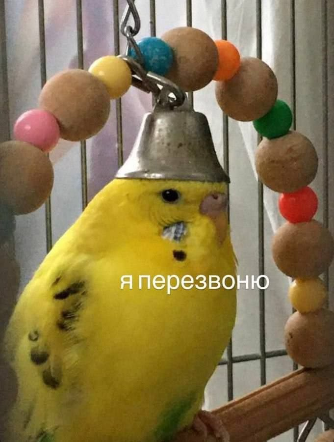 1782718741409.png