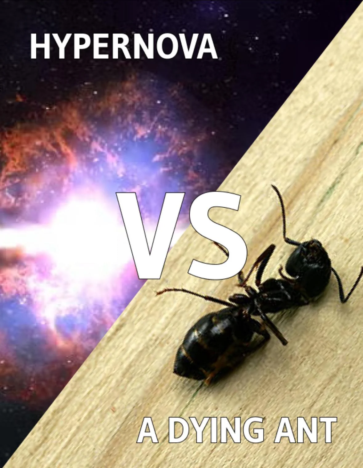 1782755065642.png