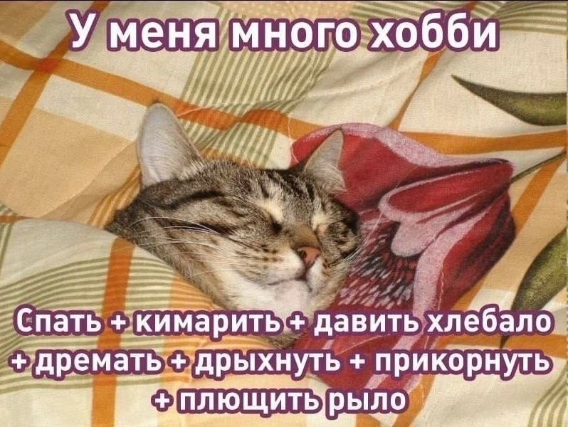 1782901696216.png