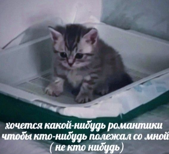 1782901778548.png