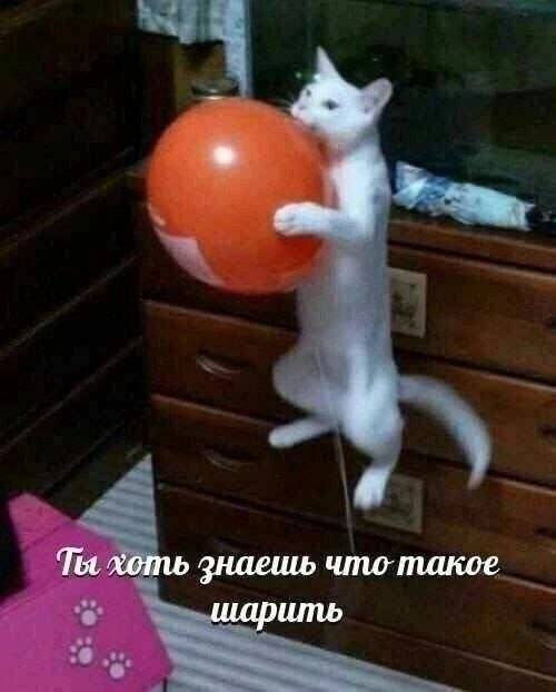 1782944498945.png
