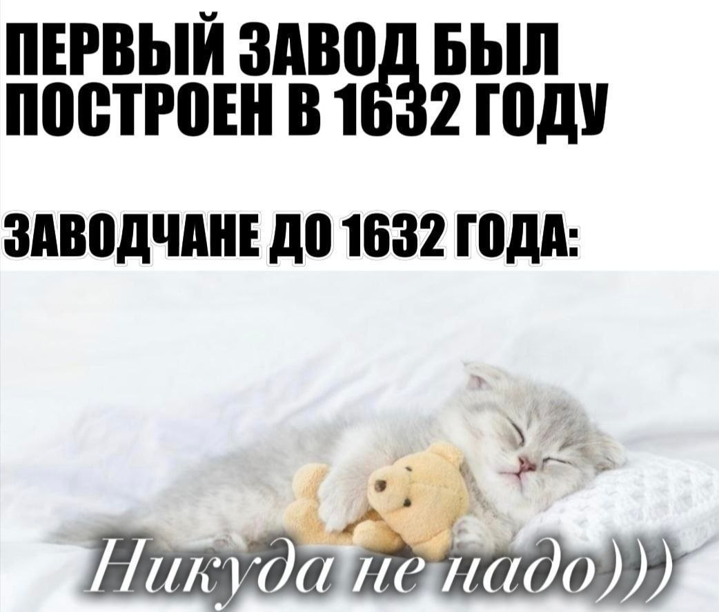 1782944549663.png