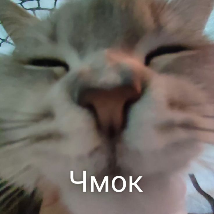 1782987535661.png