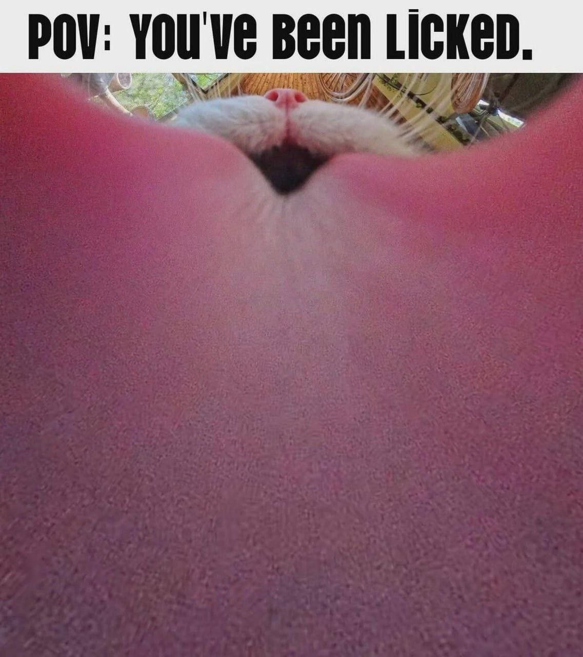 1783332234525.png