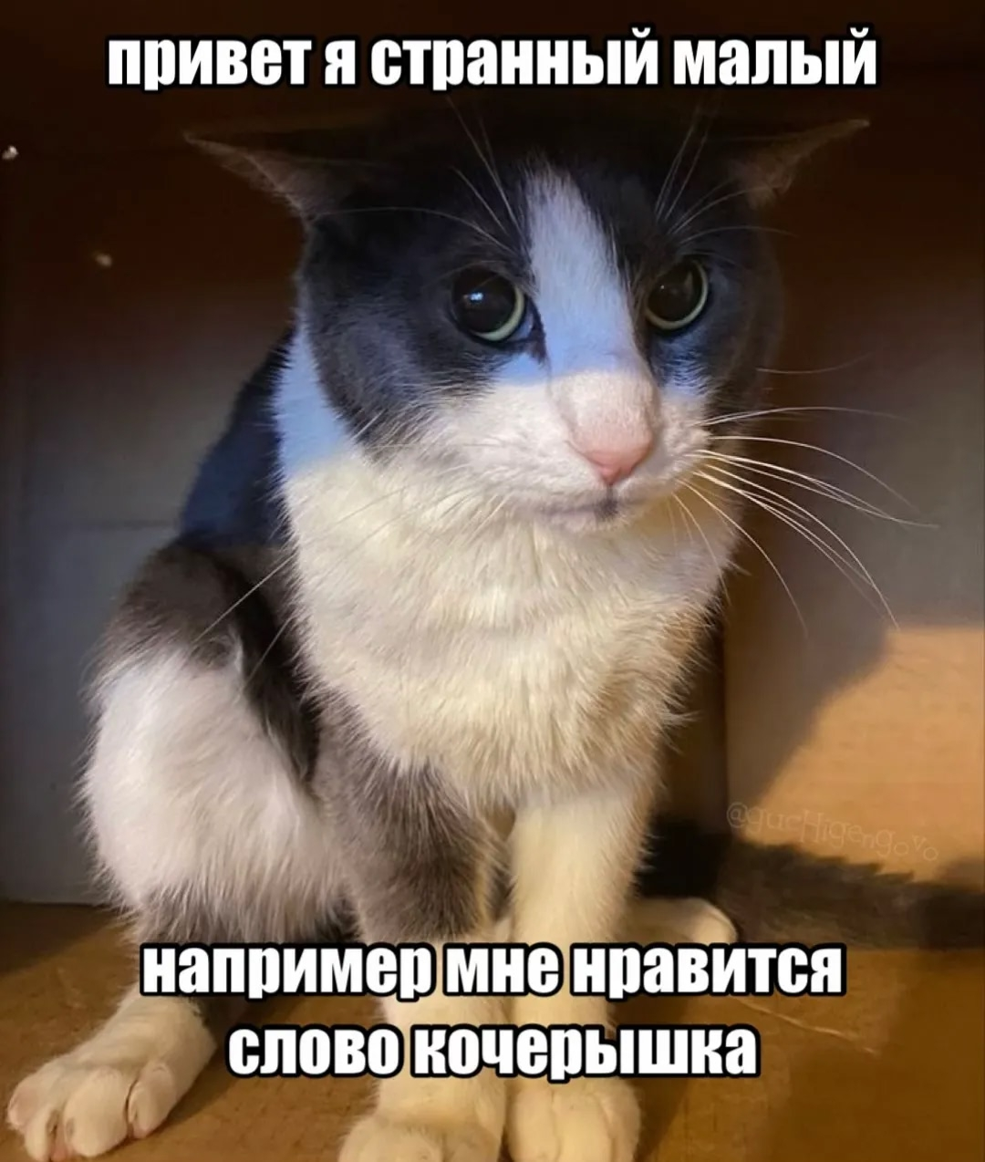 1783365536001.png
