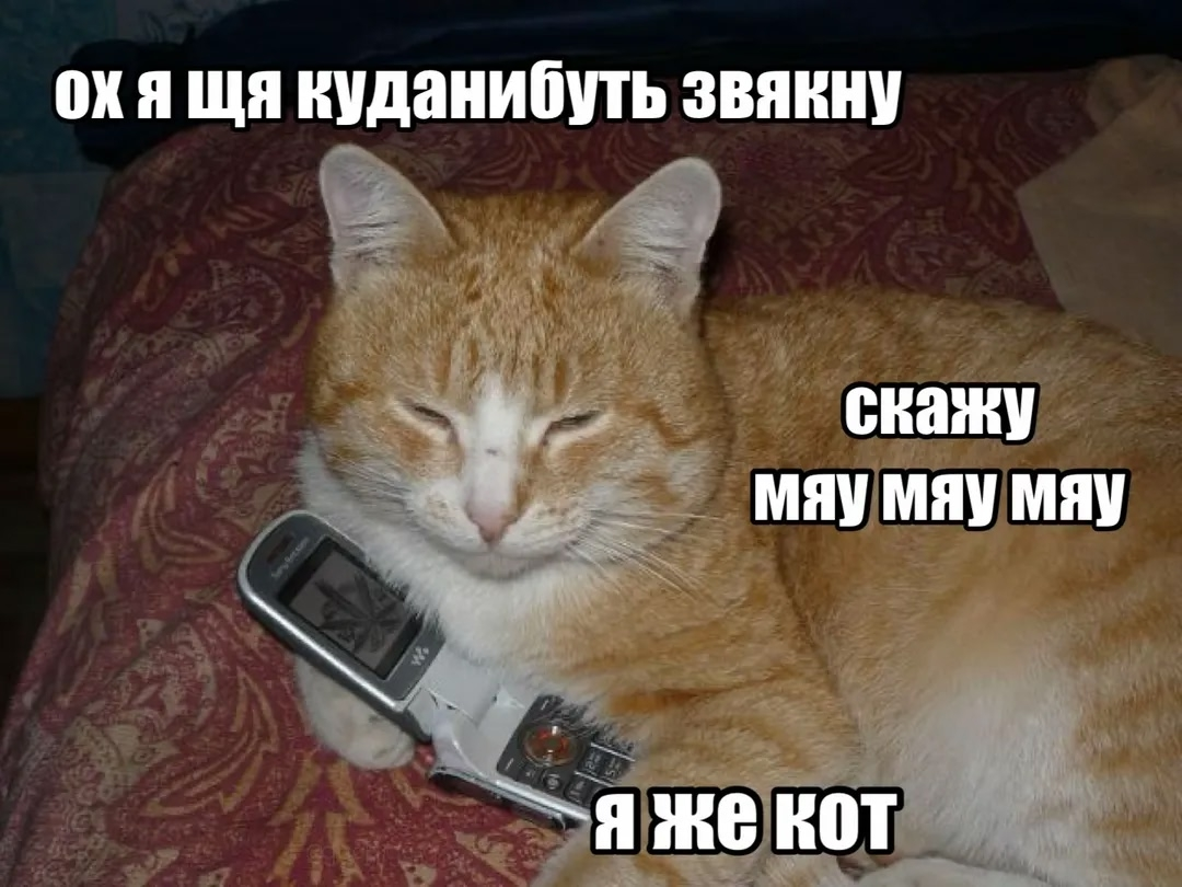 1783365567498.png