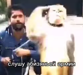 1785784491566.png