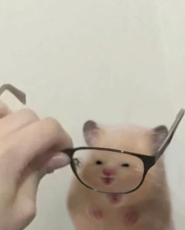 1786003977326.png
