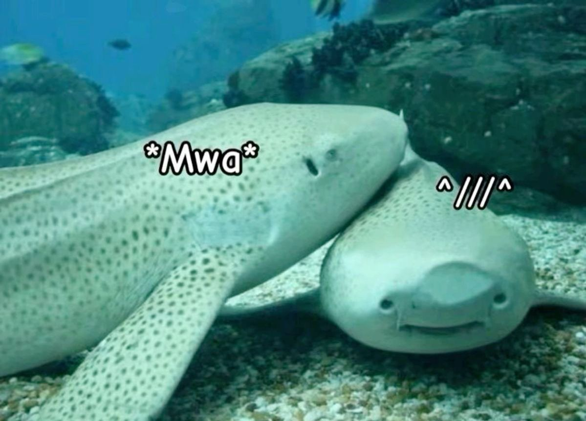 1787037172436.png