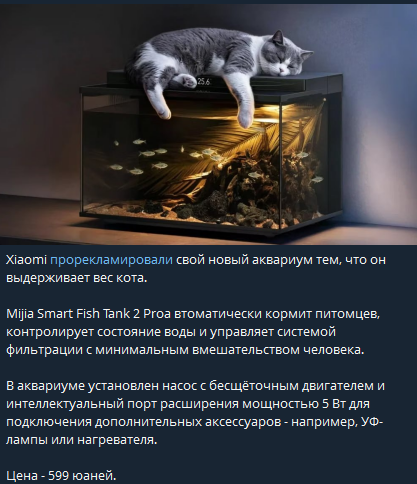1787040379696.png