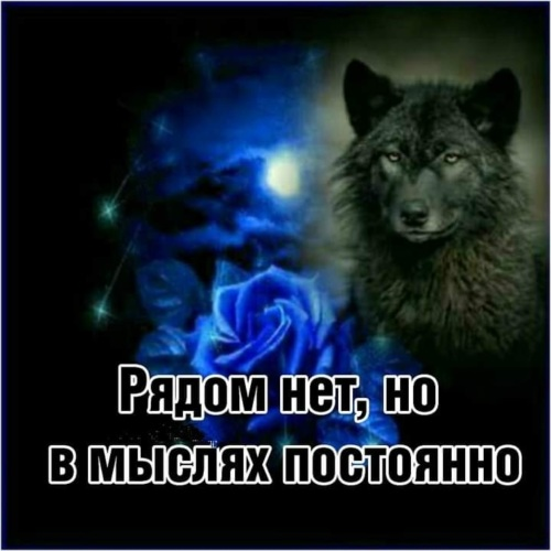 1787680742023.png