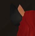 1787919562966.png