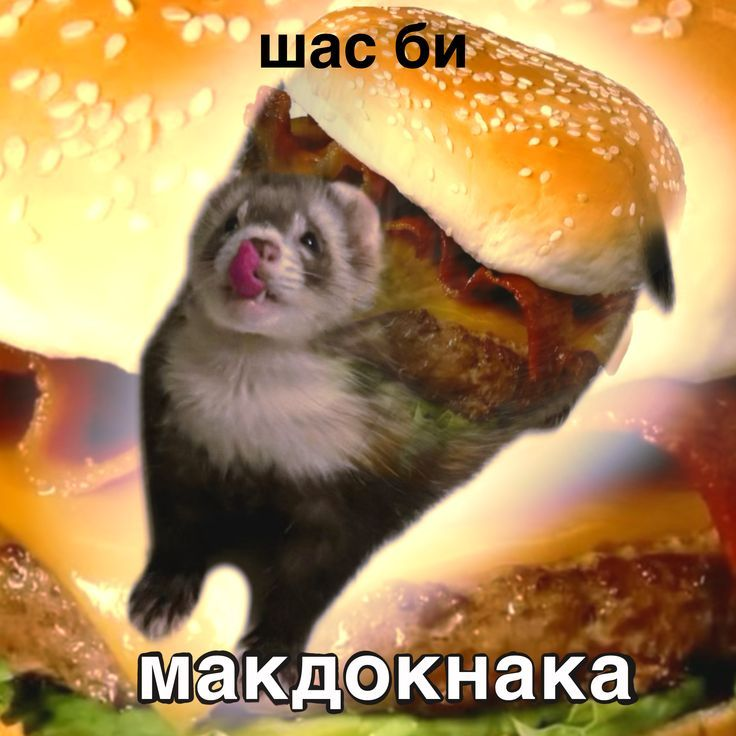 1788117318591.png