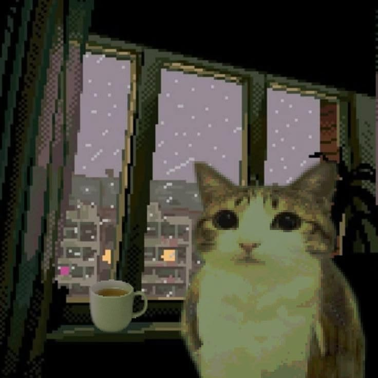 1788163117091.png
