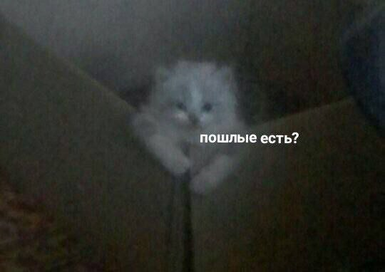 1788414482929.png