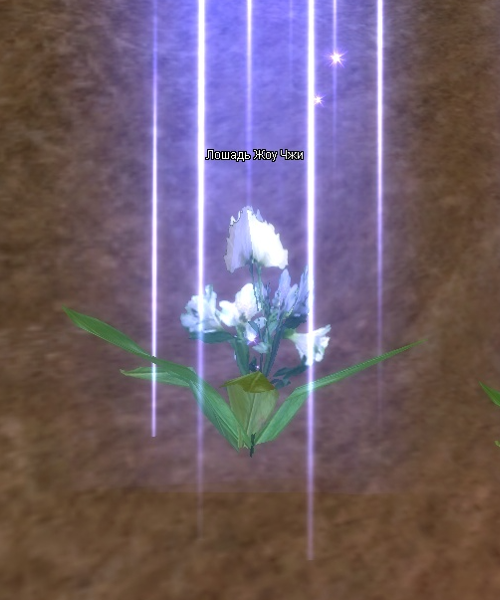 1788509815333.png