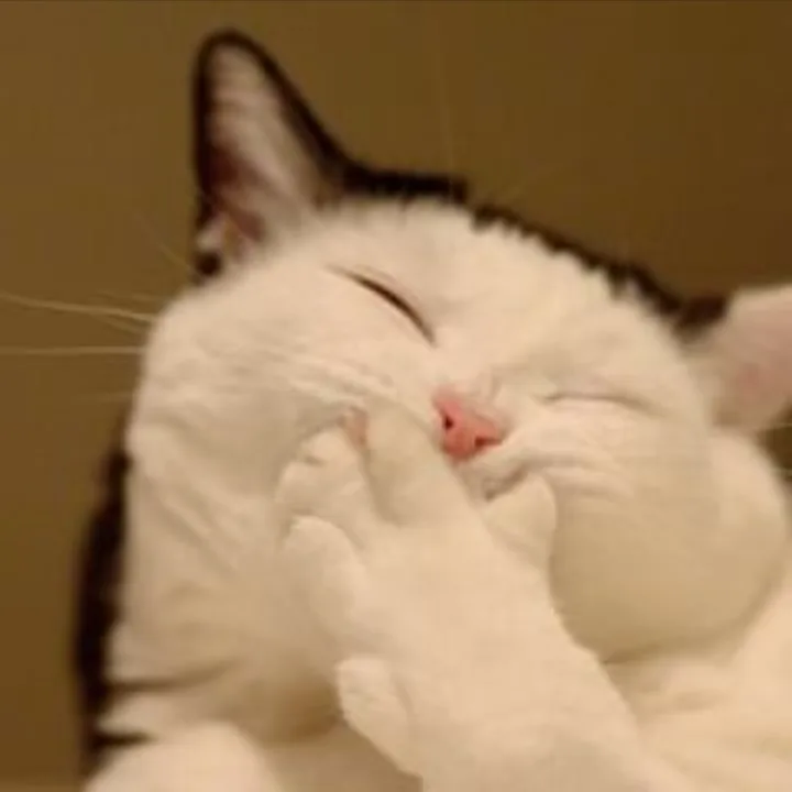 1788859004394.png