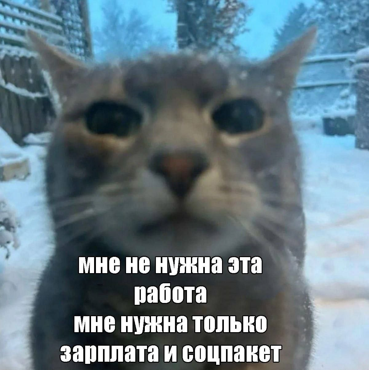 1789484071569.png