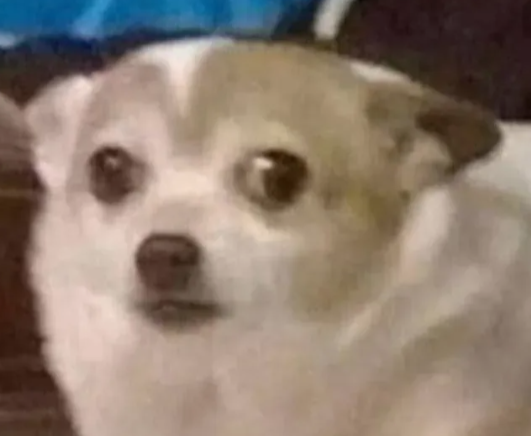 1789542305490.png