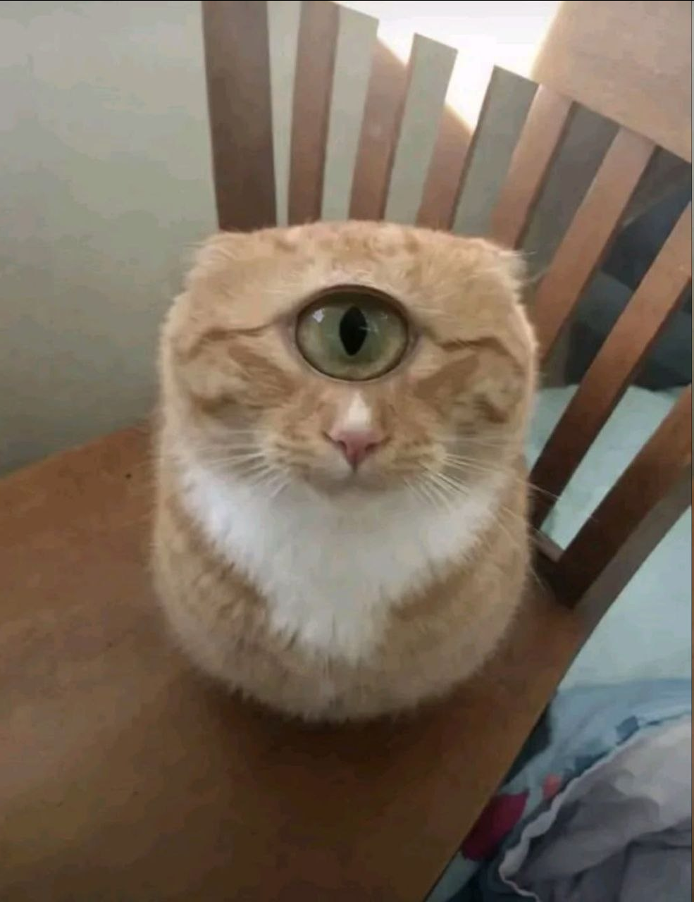 1789655324425.png