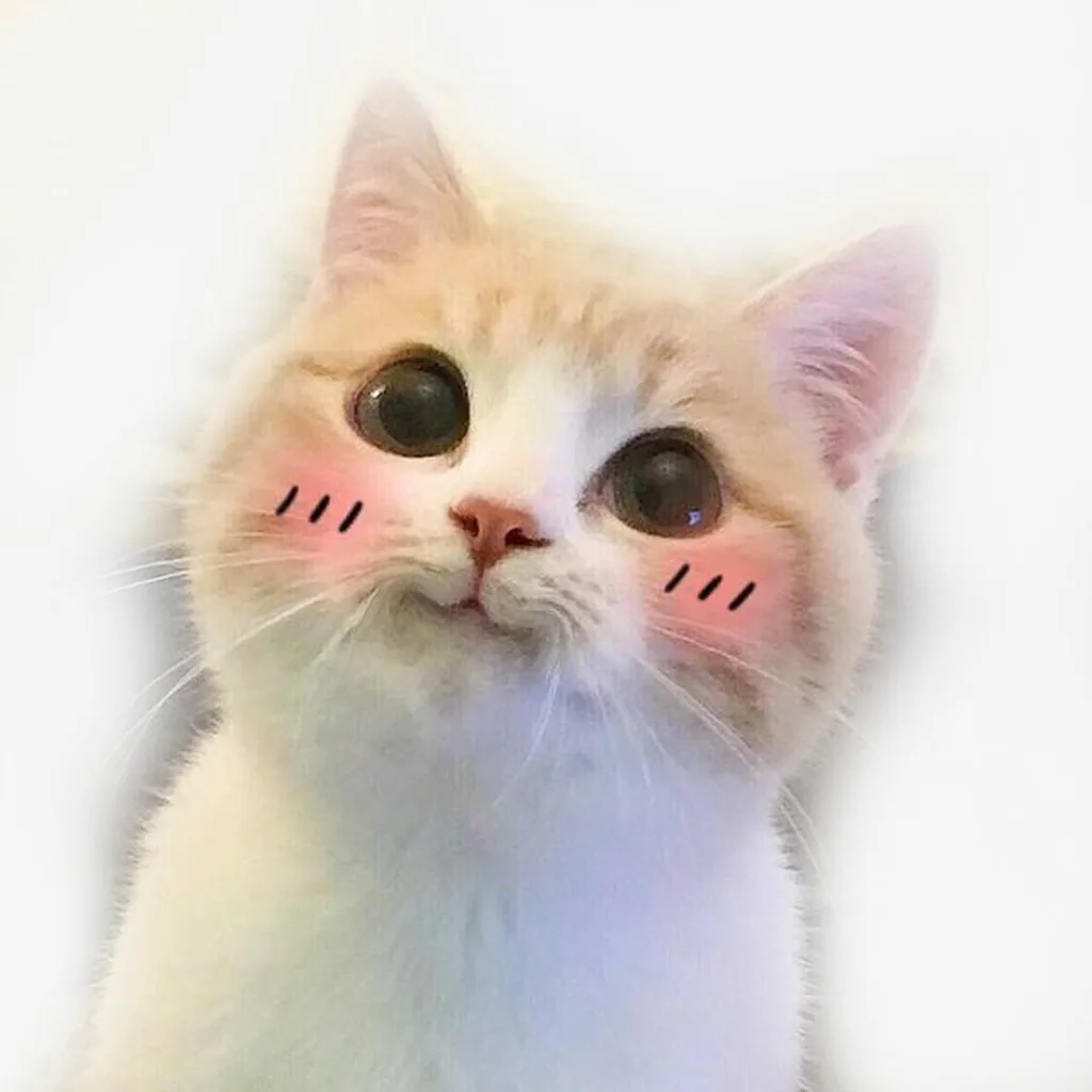 1790583826353.png