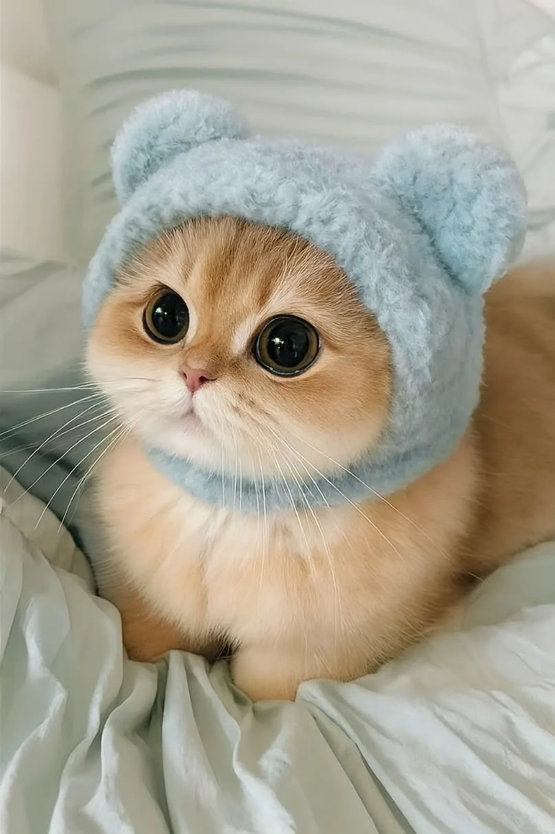1790585835276.png