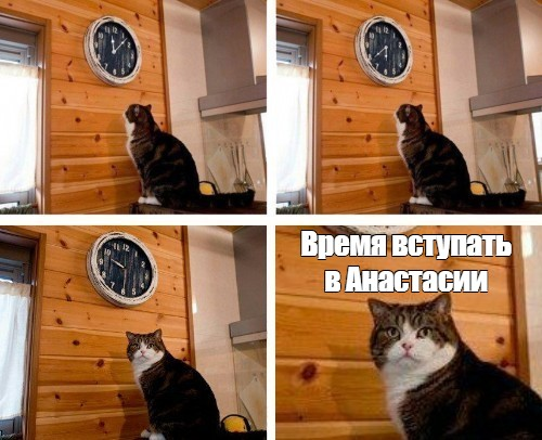 1790605642672.png