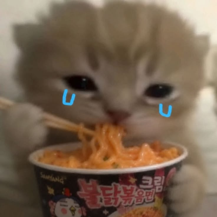 1790968577580.png