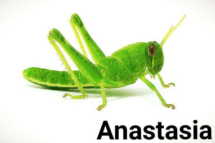 1791358009194.png