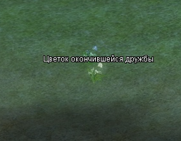 1791361661136.png