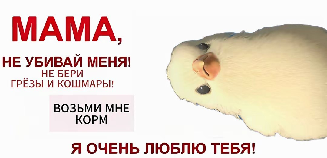1791652332005.png