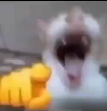1792234170869.png