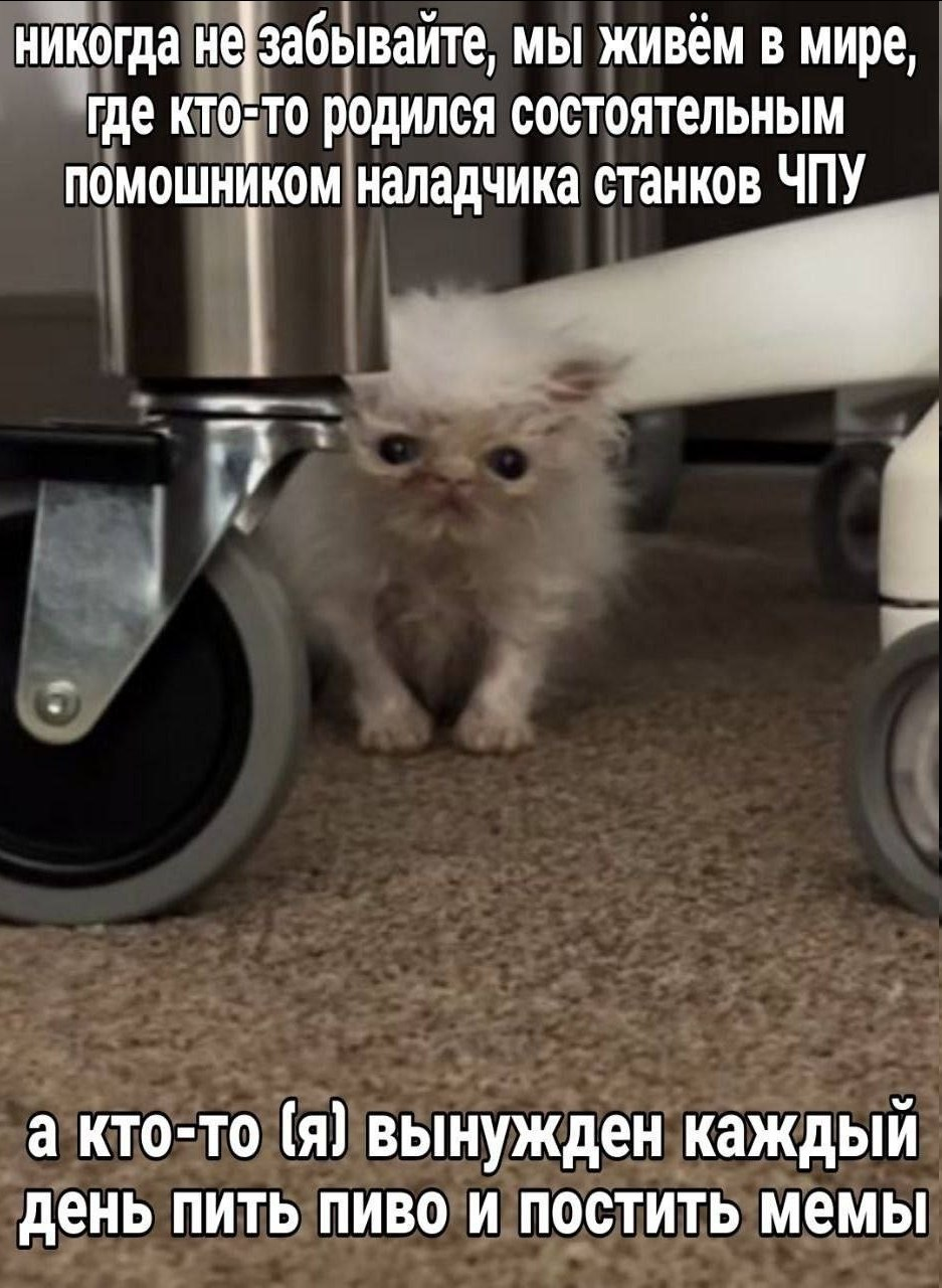 1792481829064.png