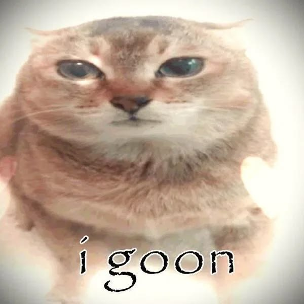 1792922157491.png