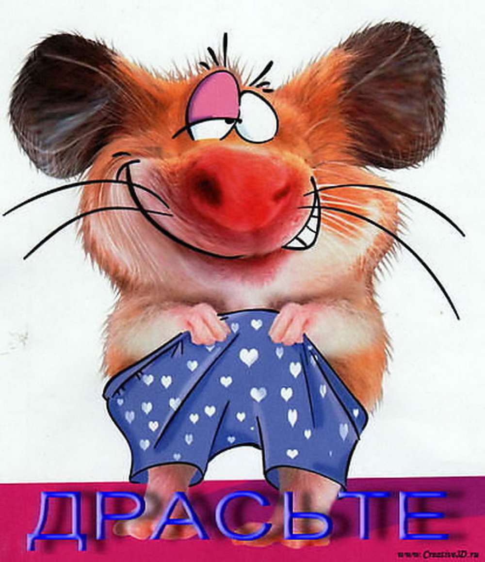 18-3446082-zdraste.jpg