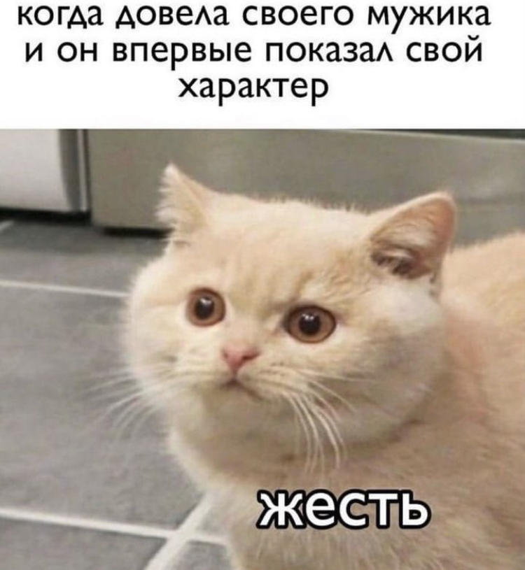 1B335543-4D8D-4B3D-BAD3-6CFD66E79B2C.jpeg