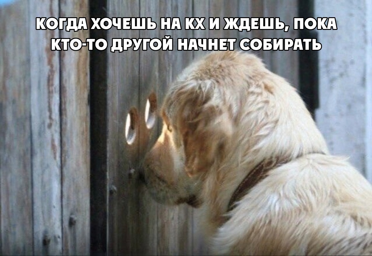 1cgfme1EZY3jUI1nKw5dB3x6IbmZH0rSmdCP6F4g04ItW7GkvIHqk3yy206scIbp9lJVRbxHRhbBLrvv5HqObjHo.jpg